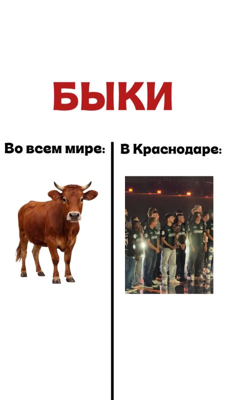 Тест на краснодарца. У нас 4/4, а у вас? Листайте карусель и проверяйте себя Тест на краснодарца. У нас 4/4, а у вас? Листайте карусель и проверяйте себя