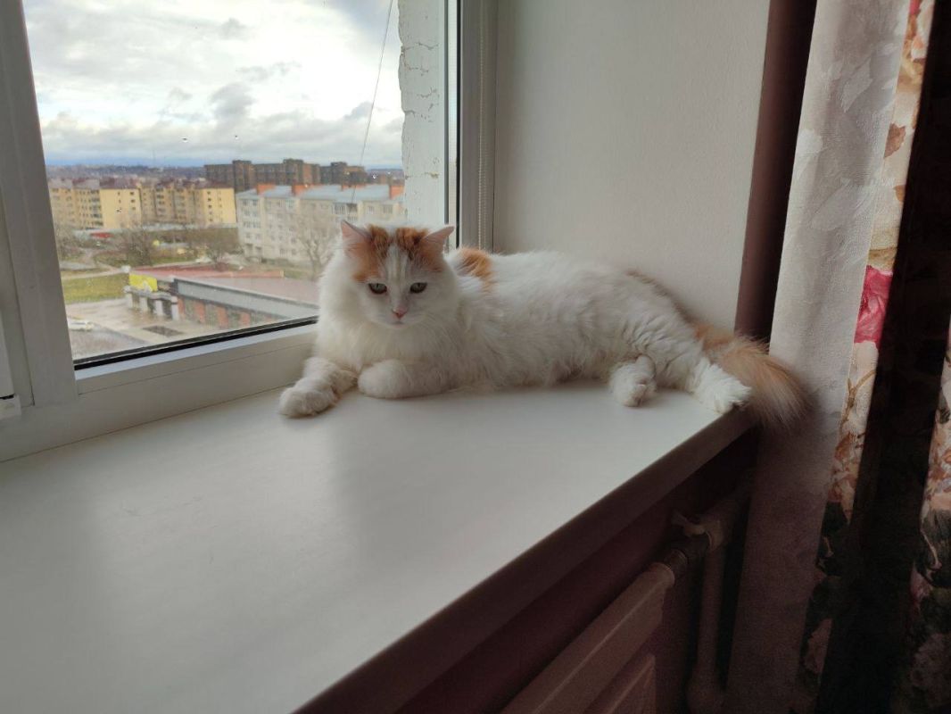 Доброе утро, Кубань!. Краснодар +22 °С Доброе утро, Кубань!. Краснодар +22 °С