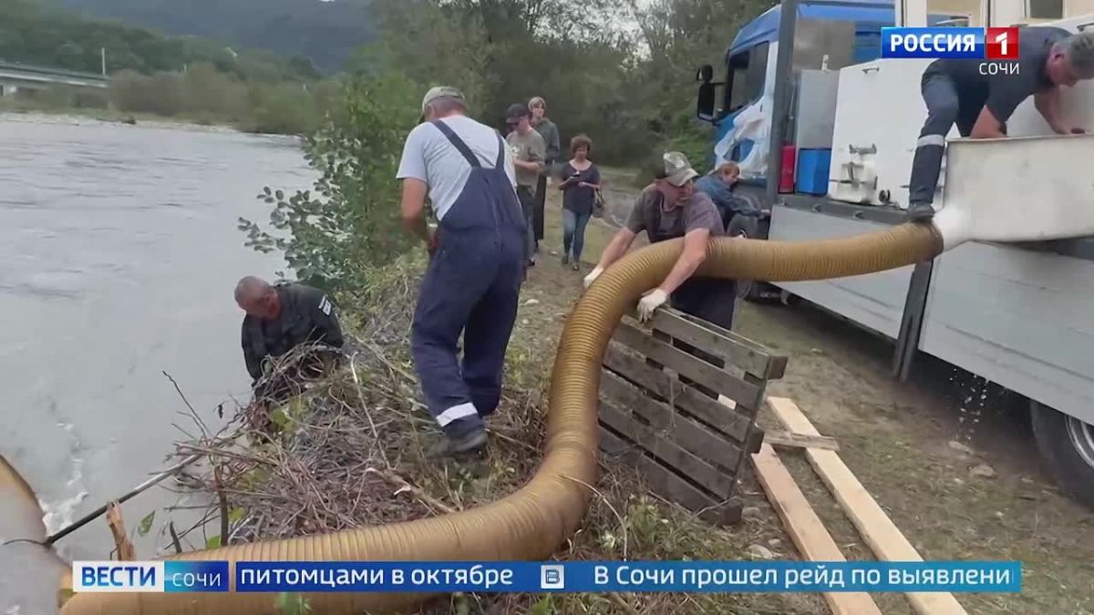 Больше 230 тысяч мальков краснокнижного черноморского лосося выпустили в горные реки Сочи
