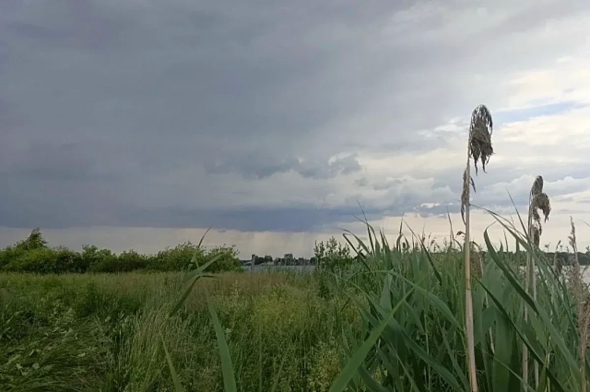 В Краснодарском крае воздух прогреется до +22°