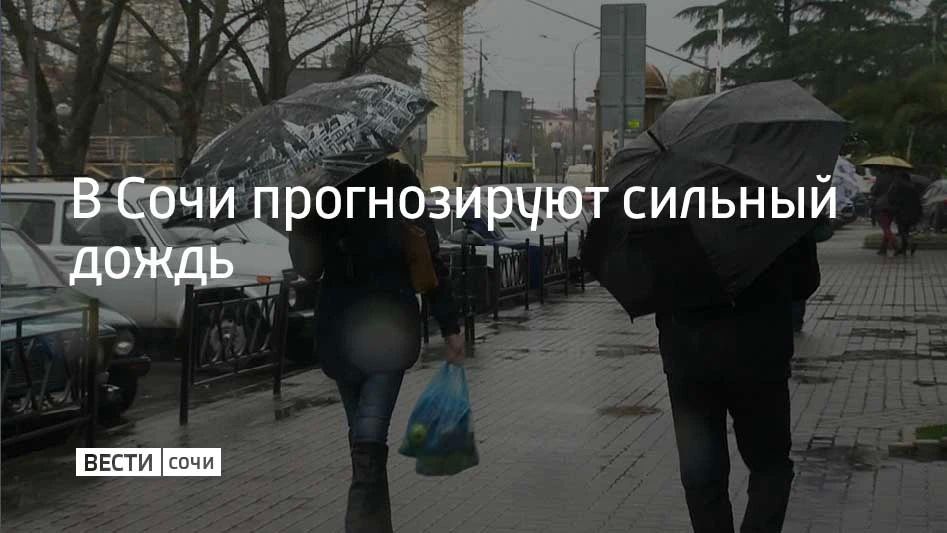 Во второй половине дня и вечером 18 октября в Сочи и Сириусе местами прогнозируют сильный дождь и ливни с грозами, сообщили в администрации курорта