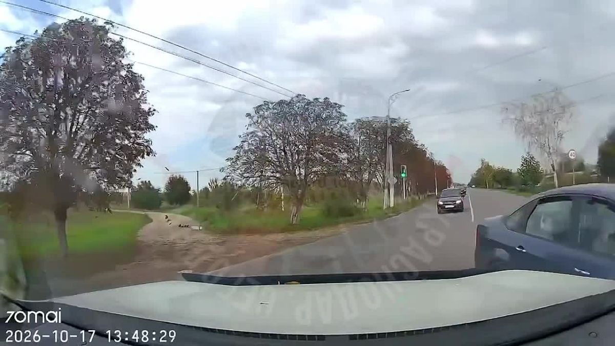 В Гулькевичах легковушка едва не попала под трёхтонный грузовик
