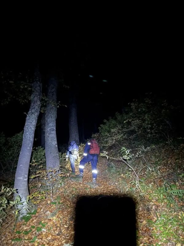 В горах Красной Поляны больше 27 часов спасали двух заблудившихся братьев