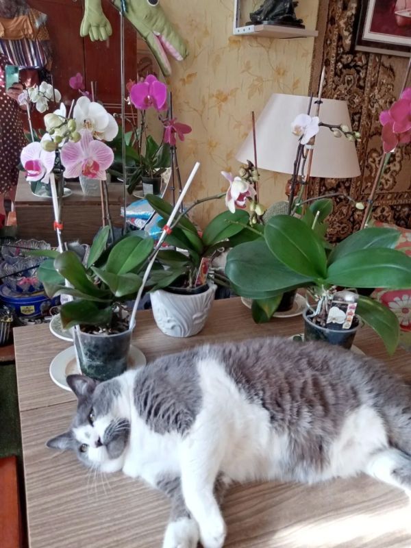 Доброе утро, Кубань!. Краснодар +22 °С Доброе утро, Кубань!. Краснодар +22 °С