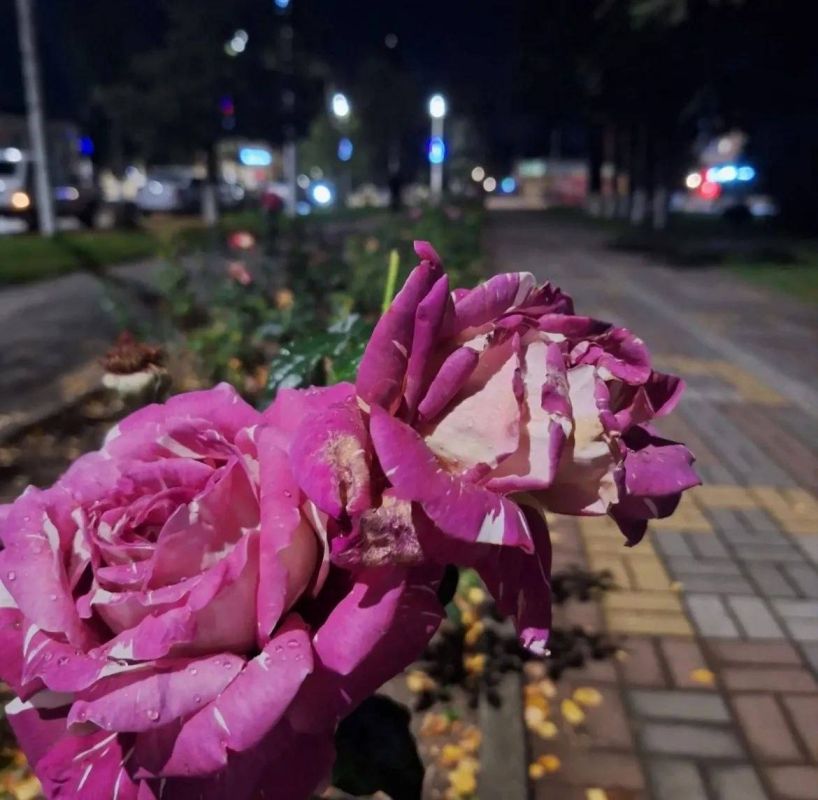 О погоде на 18 октября . В Краснодарском крае облачно с прояснениями О погоде на 18 октября . В Краснодарском крае облачно с прояснениями