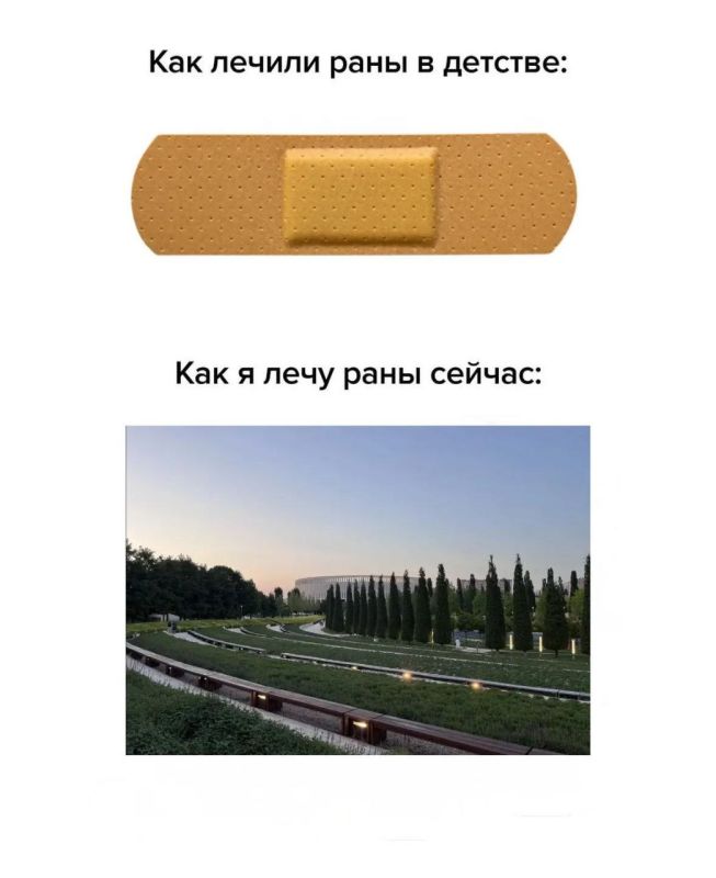 Эти способы работают на краснодарцев лучше любого подорожника Эти способы работают на краснодарцев лучше любого подорожника