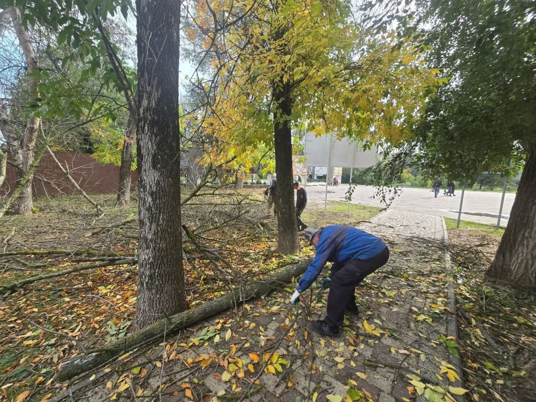 В Парке культуры и отдыха имени И. М. Поддубного продолжаются работы по спилу сухих и аварийных деревьев В Парке культуры и отдыха имени И. М. Поддубного продолжаются работы по спилу сухих и аварийных деревьев