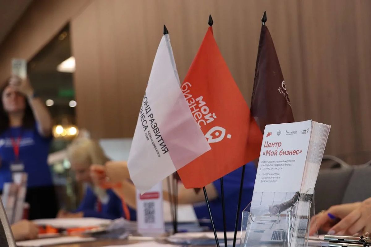В Геленджике представят институты развития предпринимательства на Кубани