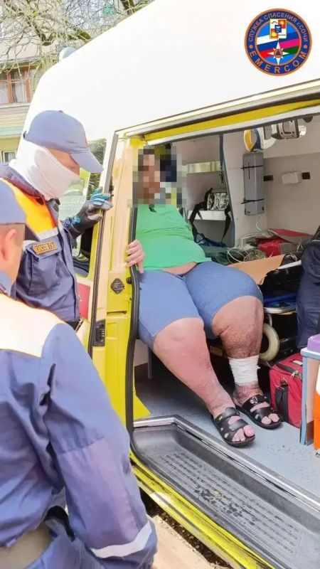 В Сочи произошел необычный случай В Сочи произошел необычный случай
