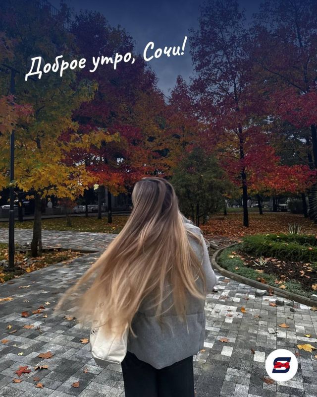 Доброе утро, Сочи!. Осень в Сочи - это не только жёлтые листья и прохладные вечера