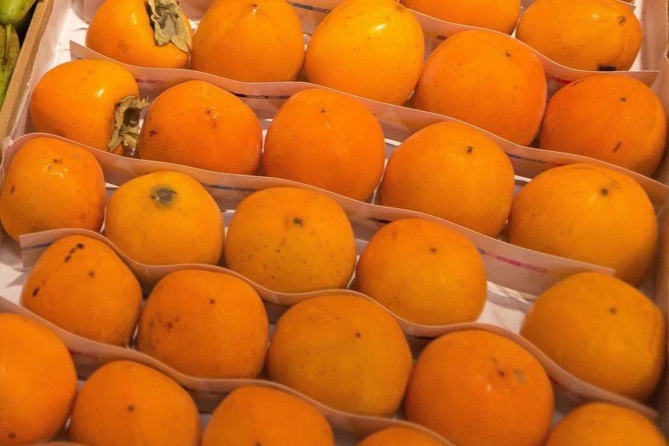 Более 21 тонны импортной хурмы запретили ввозить на Кубань из-за вредителя