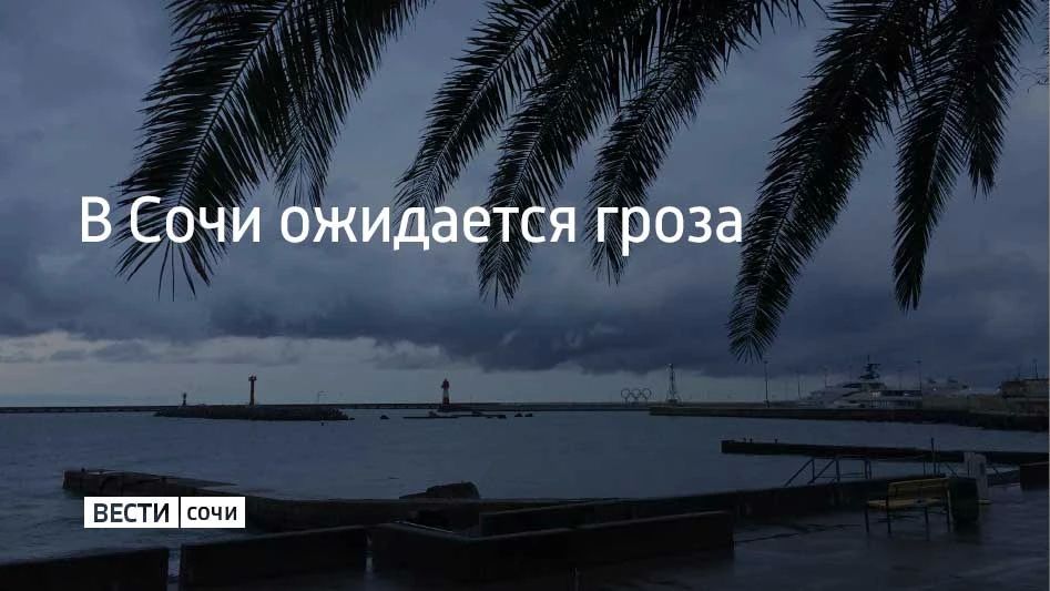 В ближайшие 1–2 часа и до конца дня в Сочи и Сириусе местами ожидается гроза, сообщили в администрации курорта 22 октября в 8:59