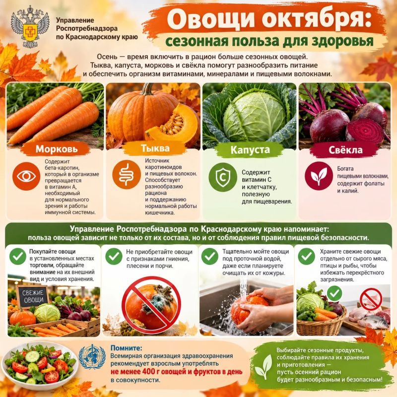 Овощи октября: сезонная польза для здоровья
