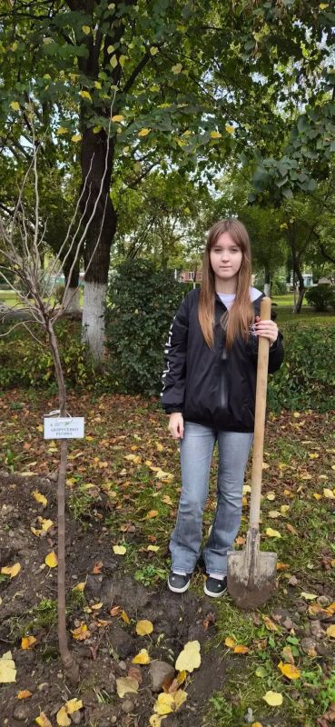 «СОХРАНИМ ЛЕС»: В АРМАВИРЕ ВЫСАДИЛИ ИМЕННЫЕ ДЕРЕВЬЯ «СОХРАНИМ ЛЕС»: В АРМАВИРЕ ВЫСАДИЛИ ИМЕННЫЕ ДЕРЕВЬЯ