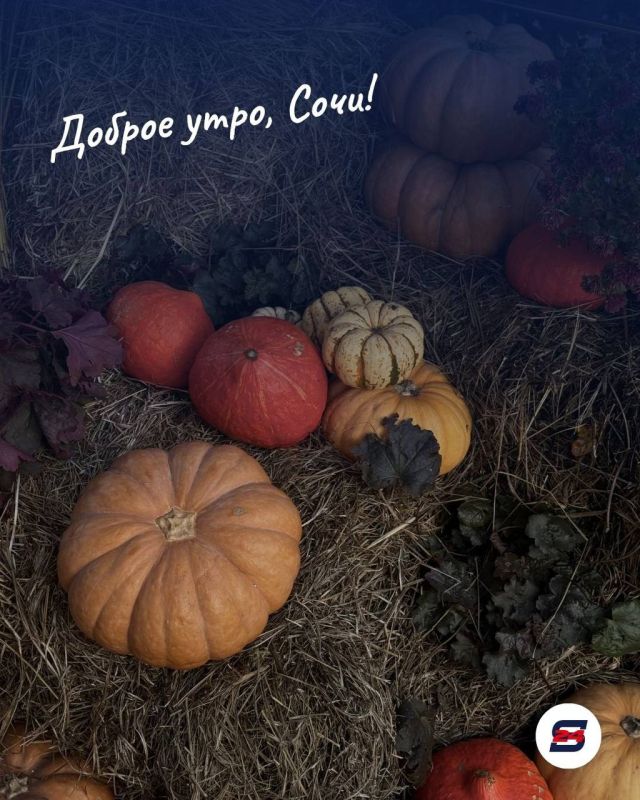 Доброе утро, Сочи!. Осенние выходные - прекрасный повод устроить себе маленькое приключение