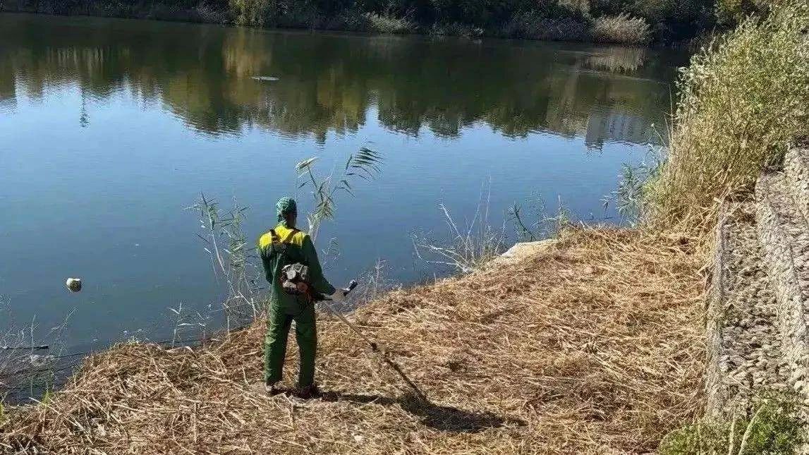 В Краснодаре очистили более 29 тысяч кв. м берегов и озер