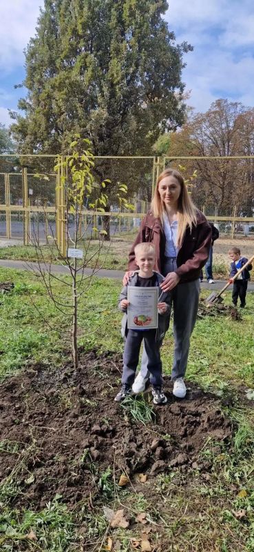 В АРМАВИРЕ ВЫСАДИЛИ ИМЕННЫЕ ДЕРЕВЬЯ В АРМАВИРЕ ВЫСАДИЛИ ИМЕННЫЕ ДЕРЕВЬЯ