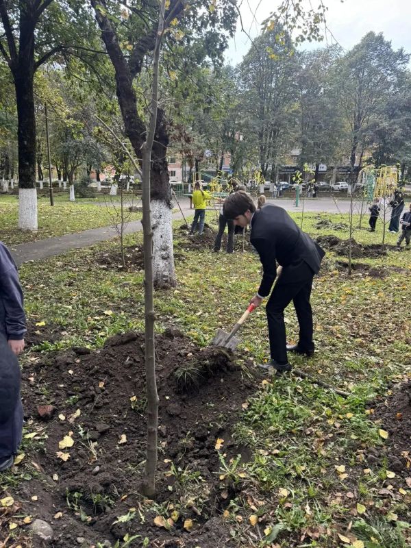 В АРМАВИРЕ ВЫСАДИЛИ ИМЕННЫЕ ДЕРЕВЬЯ В АРМАВИРЕ ВЫСАДИЛИ ИМЕННЫЕ ДЕРЕВЬЯ