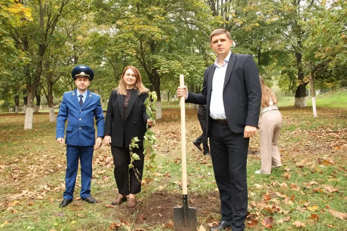 Прокуратурой Кавказского района принято участие в высадке деревьев на территории Прокуратурой Кавказского района принято участие в высадке деревьев на территории