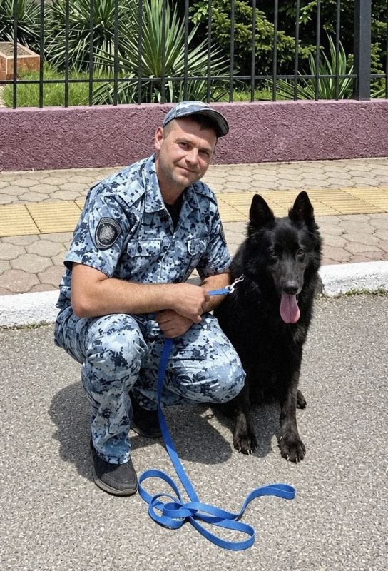 #КоМнеМухтар. Знакомьтесь, это Аякс - служебная собака ОМВД России по г. Горячий Ключ