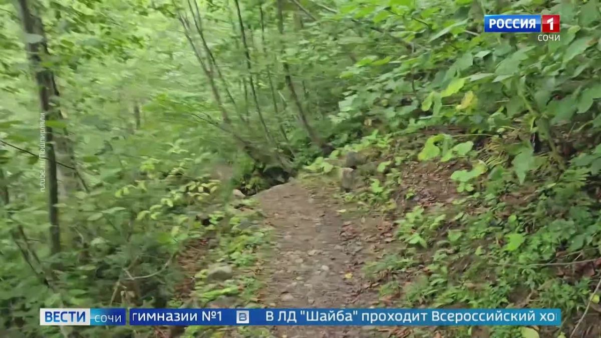 В Кавказском заповеднике закрыли некоторые летние маршруты