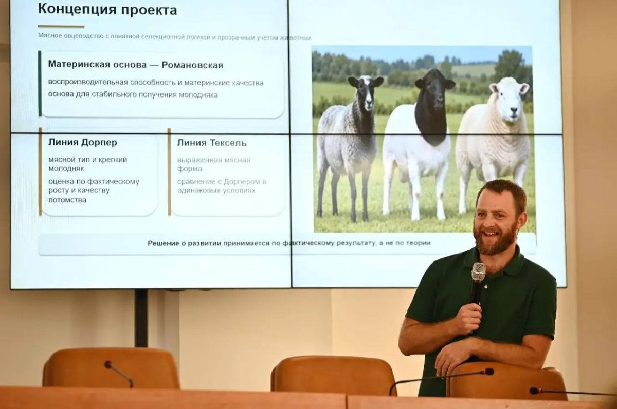 Молодые предприниматели Геленджика представили свои бизнес-проекты Молодые предприниматели Геленджика представили свои бизнес-проекты