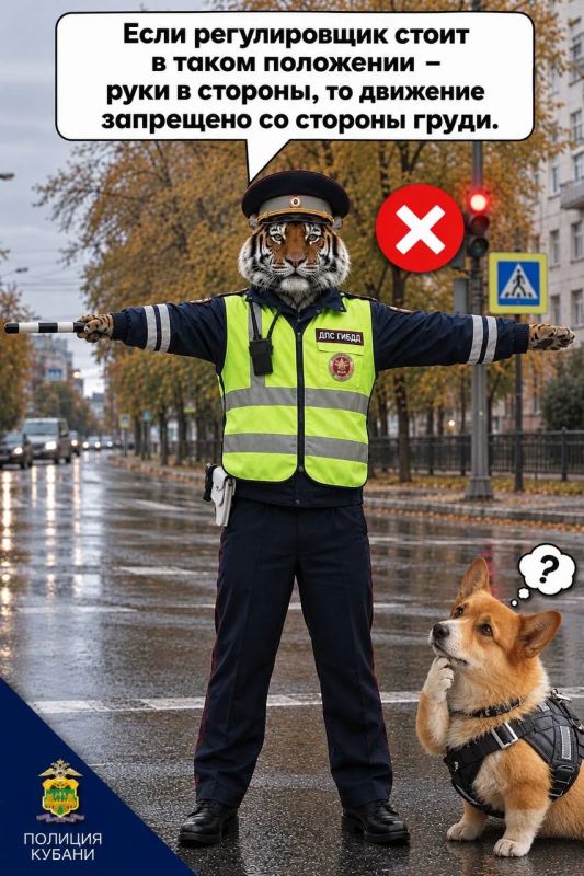 У большинства людей встреча с регулировщиком вызывает небольшой стресс и панику У большинства людей встреча с регулировщиком вызывает небольшой стресс и панику