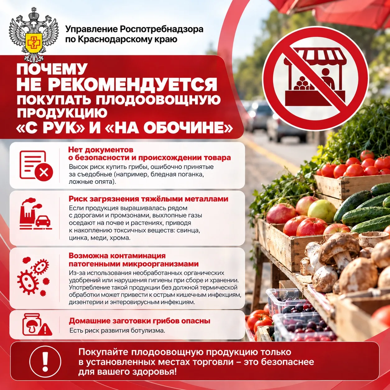 Почему не рекомендуется покупать плодоовощную продукцию «с рук» и «на обочине»