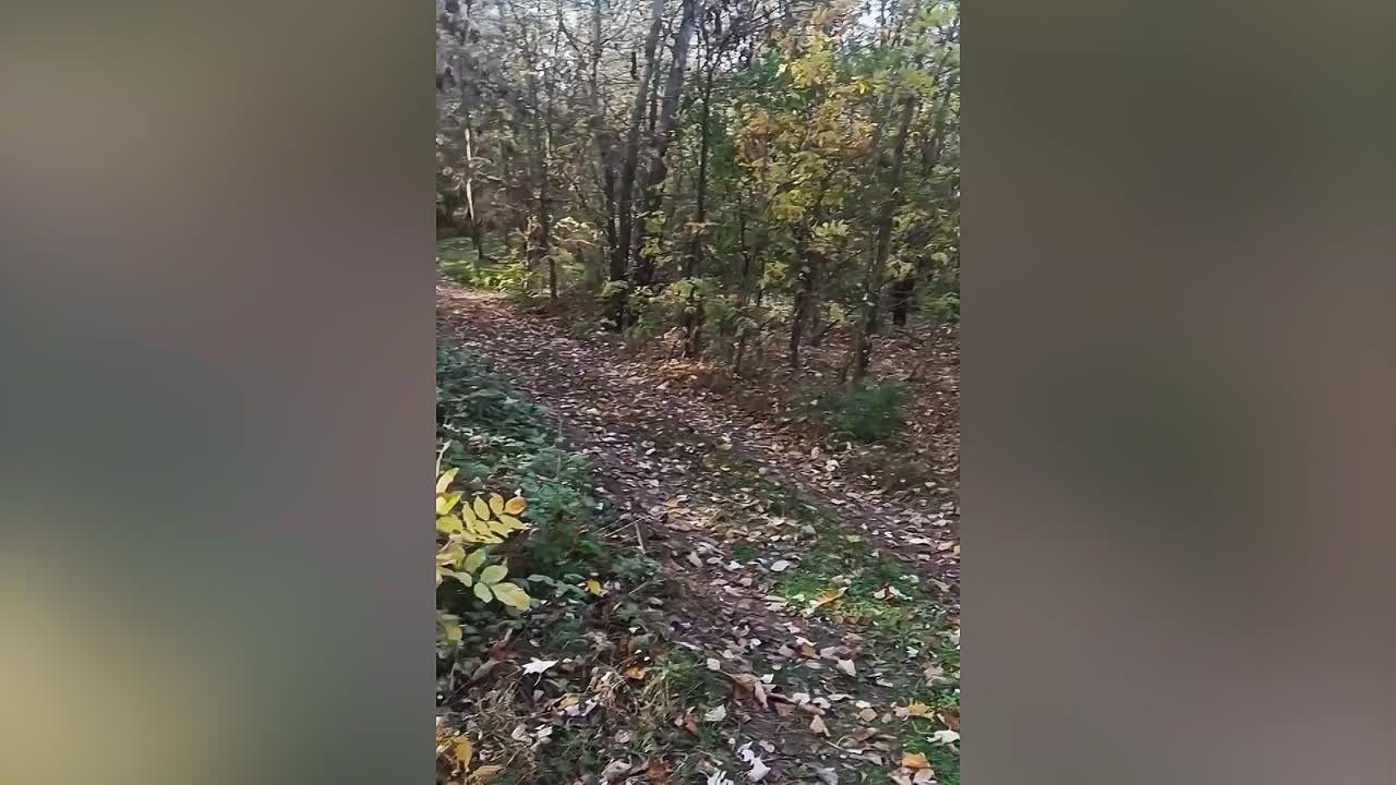 В Красноармейском районе взрывотехники Росгвардии уничтожили обнаруженную в реке мину времен войны