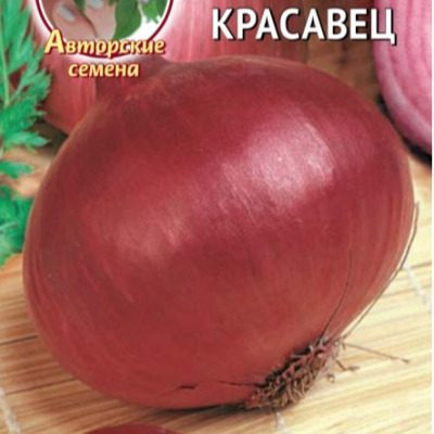 Лук Красавец: как темно-красный сорт завоевал уважение огородников