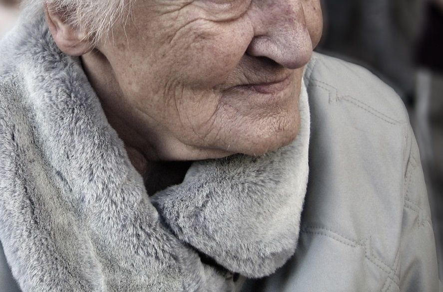 ������ ������ ������ � ������� ��� ������������ � ������� 2025 ����