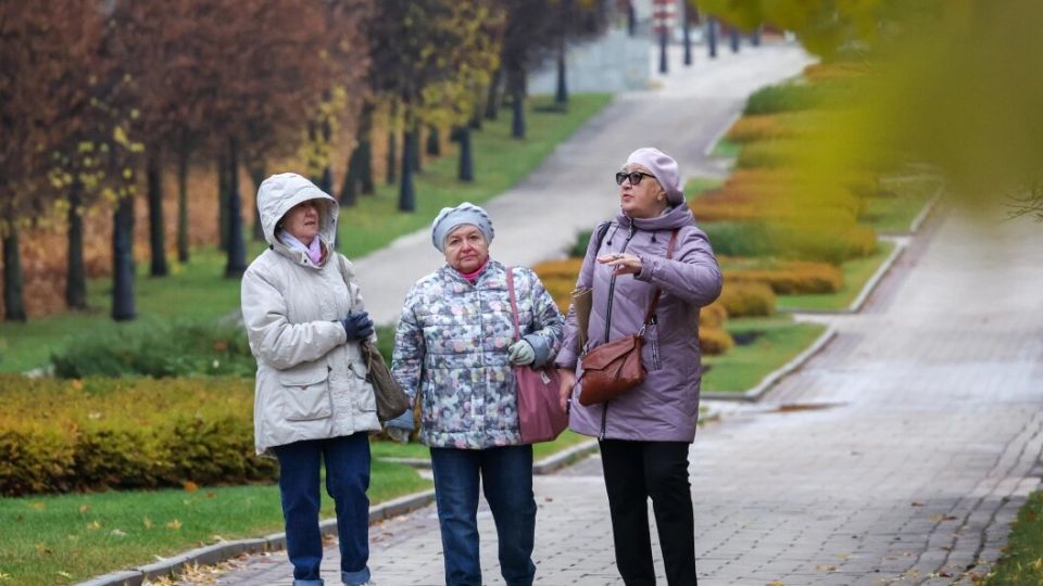 Что может стать причиной приостановки пенсионных выплат?