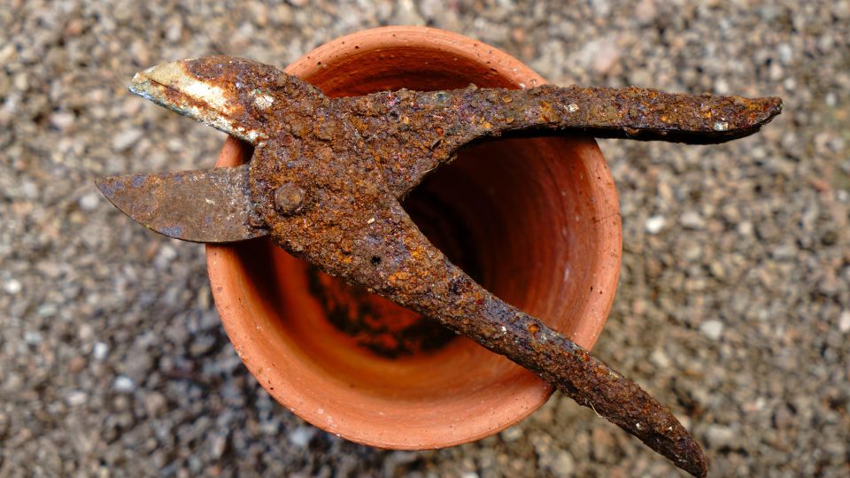 Заржавевшие садовые инструменты спасете этими двумя способами: засияют как новенькие