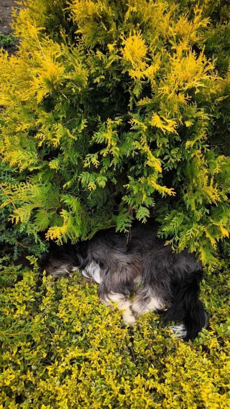 Выходные в деревне: секрет бодрствующей недели