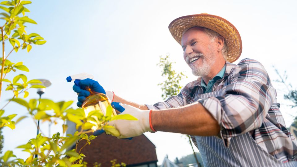 Одна уловка поможет семенам прорасти быстрее: и глазом не успеете моргнуть