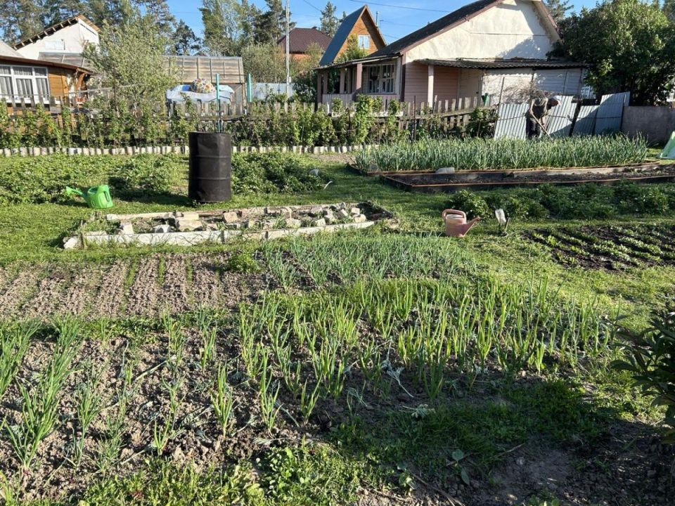 Защита урожая от агрессивных сорняков