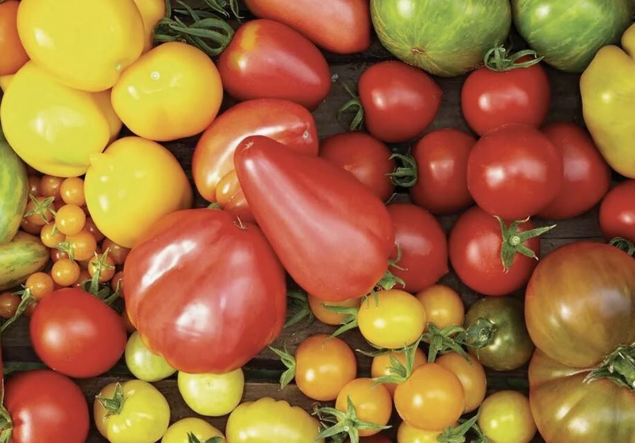 ������ ��� ������: 10 ������ ������ ��� ��������� ������ � 2025 ����