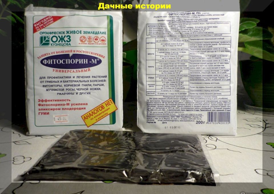 Искусство разведения Фитоспорина для вашего сада