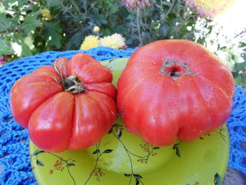 ����� ����� ���������: ������� ������� ��� ������ �����