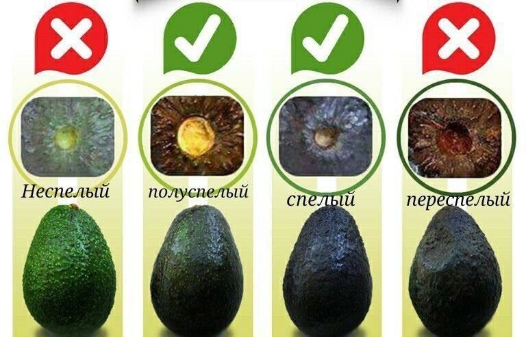 ��������� �������: ��� ������� ������ �����