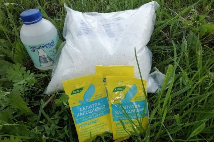 ��� ��������� ������� ���������, ����� �� �������� � �� �����������: �������