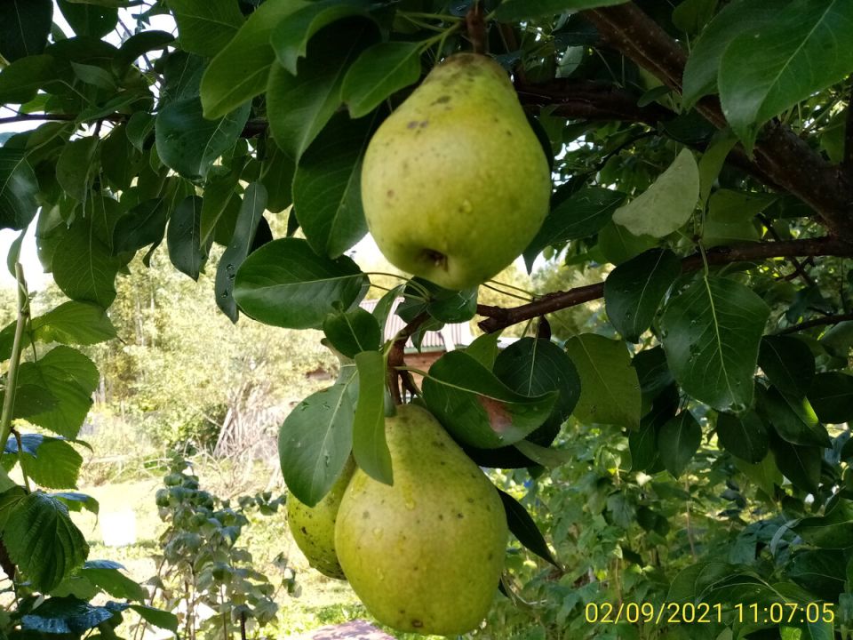 ����� �� �����: ��� �������� ������� ���