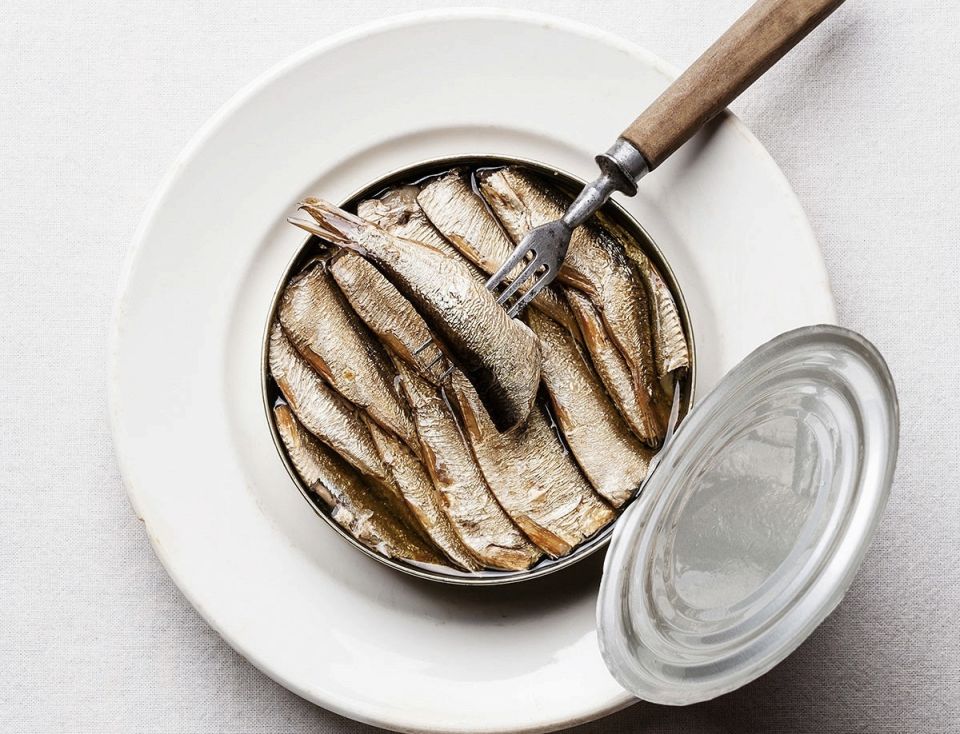 ������: ���������� ��������� � ����������� ��������