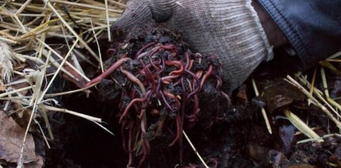 ��� �������� ����� ����� ���������� ���� ����� � ��������� ������������