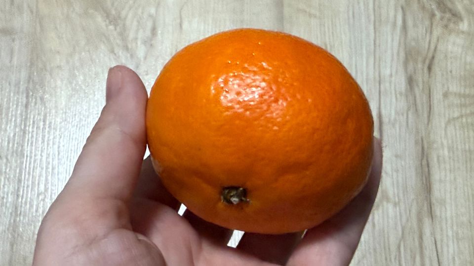 ��� �� ������ ��������� �������� ����� ��� ����� ����