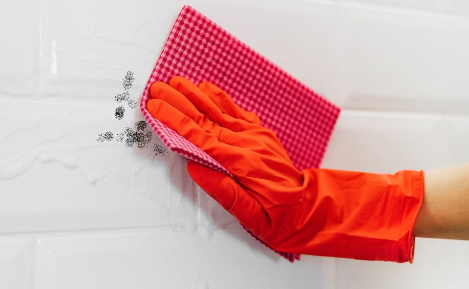 ��� ���������� ���������� �� �������: 11 ������� � ���������� ��������