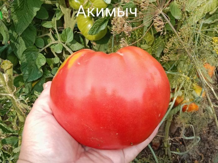 ����� ������: ������� ��������� ������