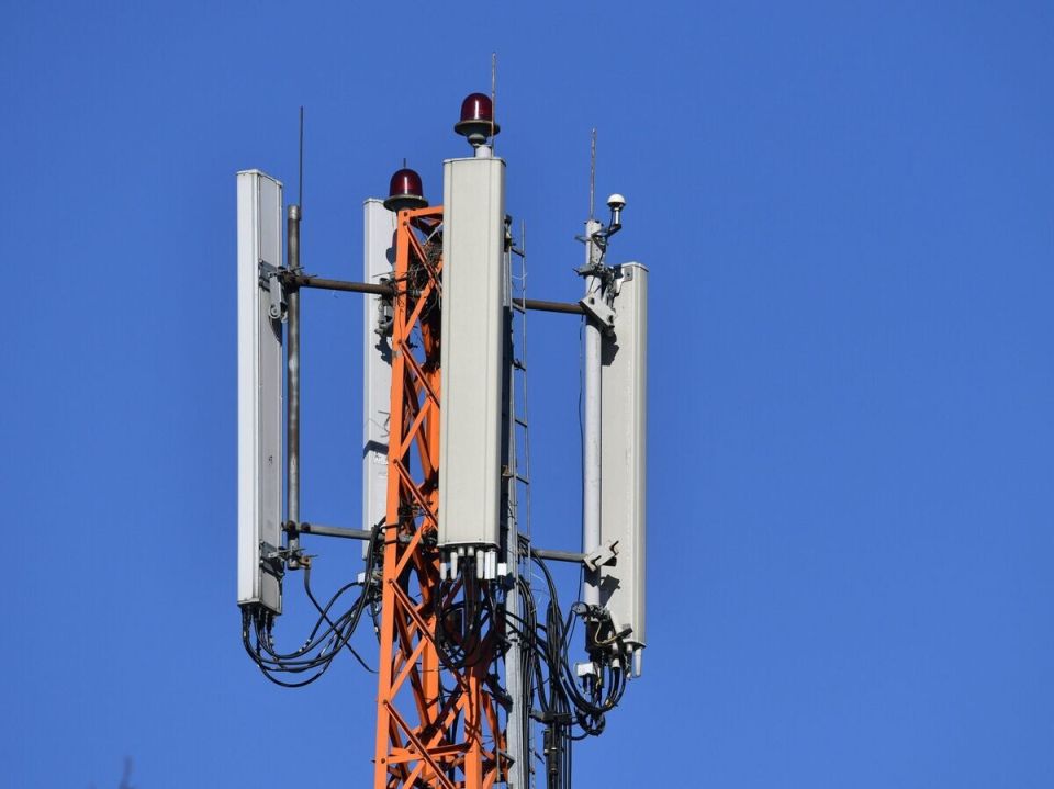 ����� ����� � ������ ������������ ��� ���������� �����