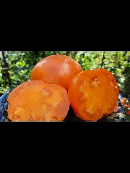 ����� ������� �� ���������: ��������� �������� �������� ��������