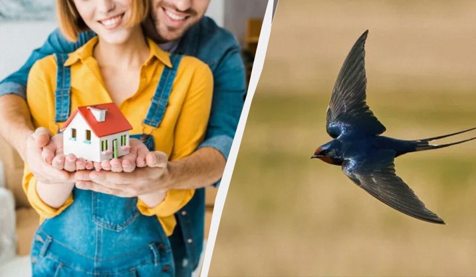 �������� �� ����� ����: ��� � ��� ������� �������?